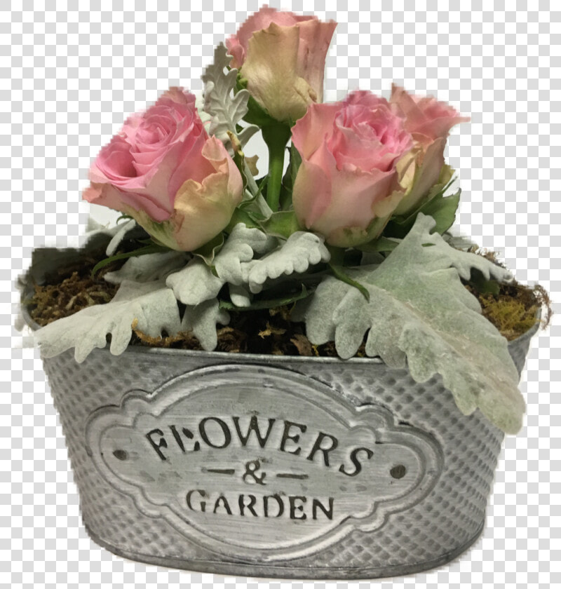 Transparent Mason Jar Flowers Png   Hybrid Tea Rose  Png DownloadTransparent PNG