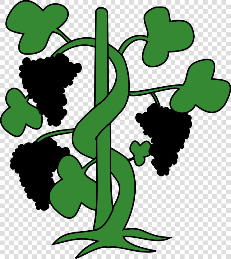 File H Raldique Meuble Vigne Svg Wikimedia   Climbers Plant Clip Art  HD Png DownloadTransparent PNG