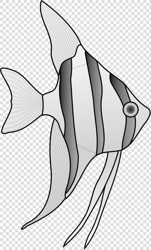 Clip Art Collection Of Free Angelfish  HD Png DownloadTransparent PNG