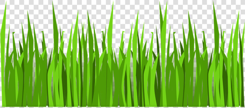 Grass Png Vector   Png Download   Vector Transparent Grass Png  Png DownloadTransparent PNG