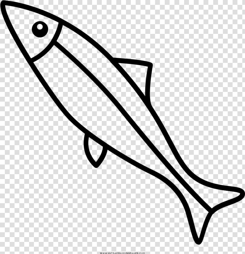 Sardine Coloring Page   Sardine Drawing  HD Png DownloadTransparent PNG