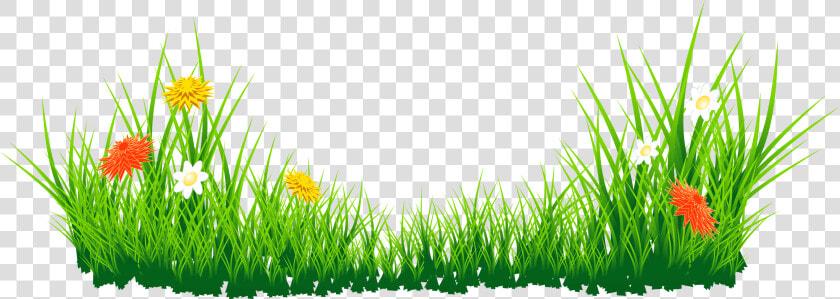 Green Grass Clipart Clipart   Grass Png Hd Images Download  Transparent PngTransparent PNG