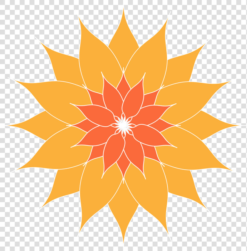 Orange Flower Png Clip Arts   Food Care In Diabetes Mellitus  Transparent PngTransparent PNG