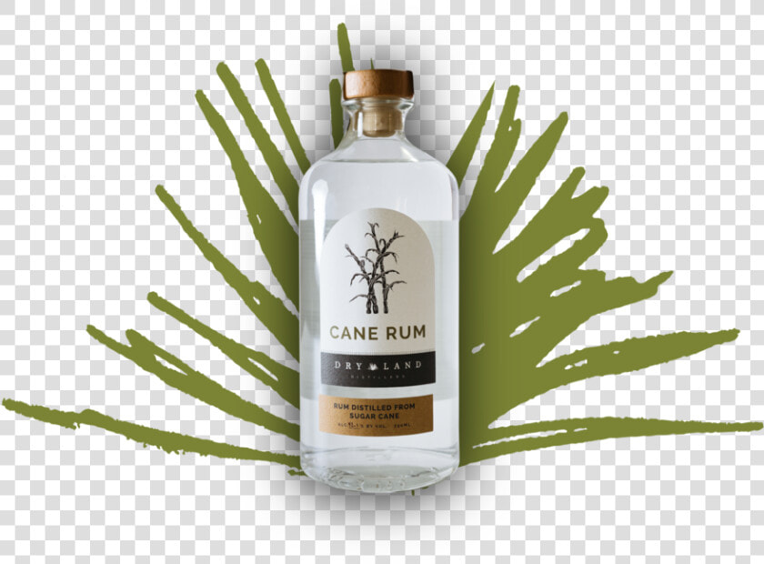 Dryland Website Spirit Rum Notext   Dry Land Distillers Gin Label  HD Png DownloadTransparent PNG