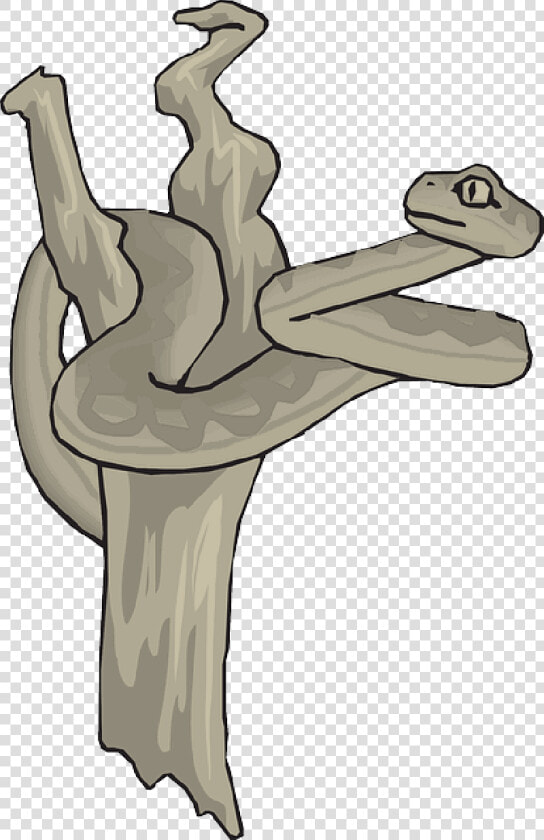 Snake  Dead  Tree  Branch  Reptile  Curled   Snake  HD Png DownloadTransparent PNG