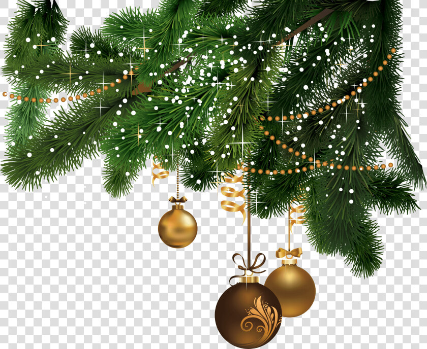 Hd Christmas Fir Tree Png Image   Christmas Tree Png File  Transparent PngTransparent PNG