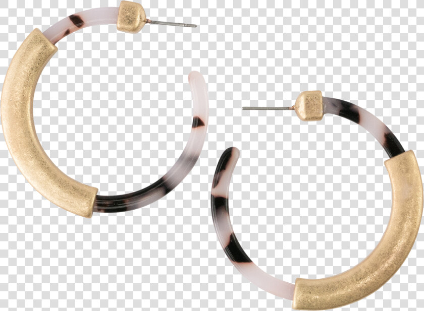  light Tortoise Hoop With Gold Earrings   Earrings  HD Png DownloadTransparent PNG