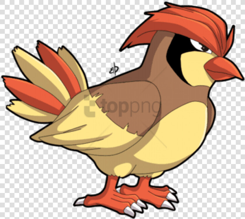 Smosh Pokemon Pidgey   Pokemon Bird With Hair  HD Png DownloadTransparent PNG