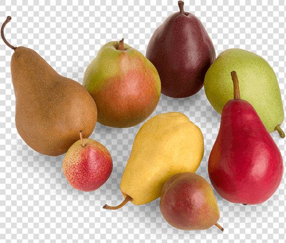 Types Of Pears Multiple Colors   Pear Varieties  HD Png DownloadTransparent PNG