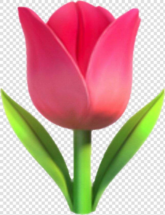  emoji  fleur  flower  flora  rose  tulip   Tulip Emoji  HD Png DownloadTransparent PNG