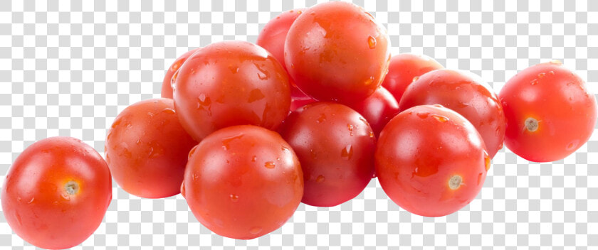 Tomato Png Image   Tomato Transparent Png File  Png DownloadTransparent PNG