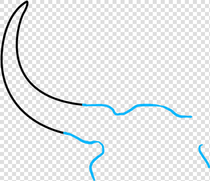 How To Draw Bull Skull   Plot  HD Png DownloadTransparent PNG