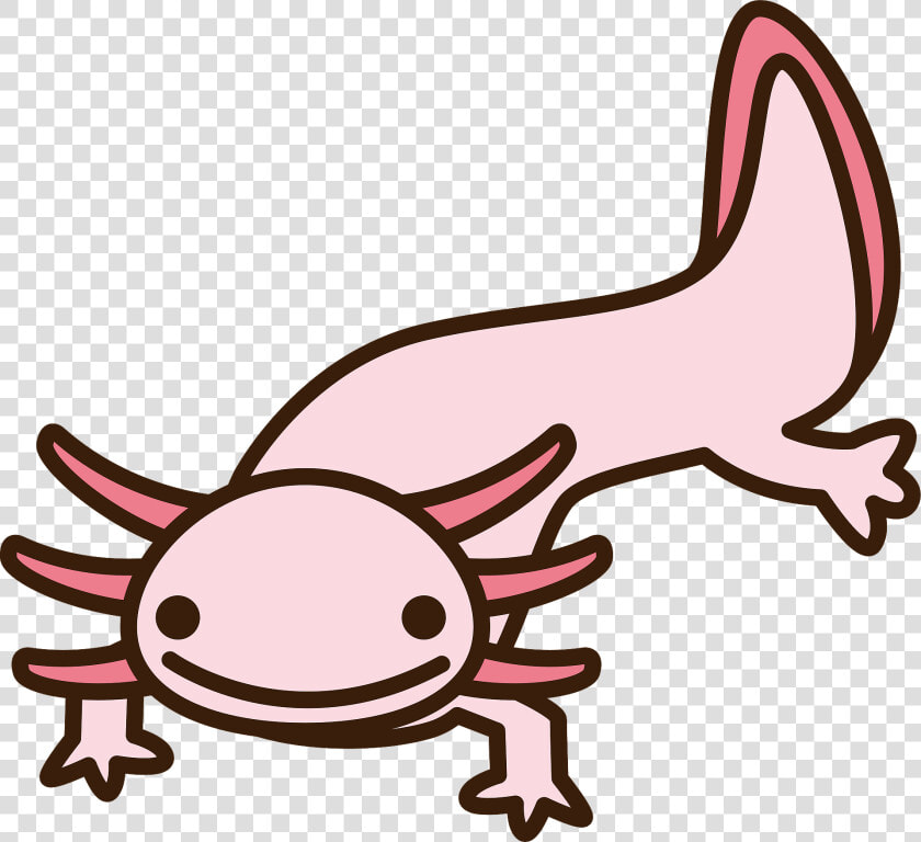 Axolotl  HD Png DownloadTransparent PNG