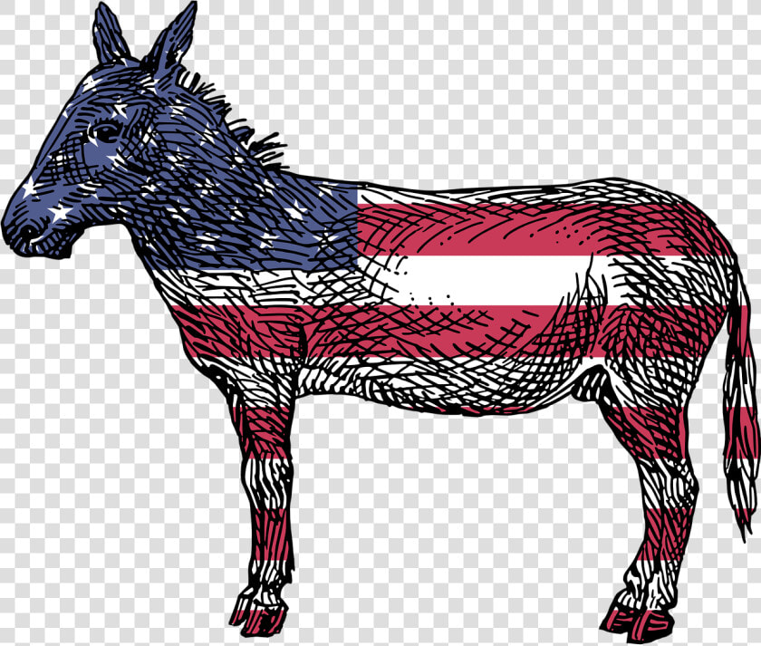 America  Democrats  Ass  Democratic  Donkey  Flag    Reasons To Vote For Democrats Book  HD Png DownloadTransparent PNG