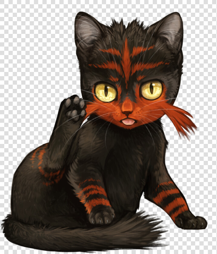 Gif gif Animation  Animated Pictures   Pokemon Litten In Real Life  HD Png DownloadTransparent PNG