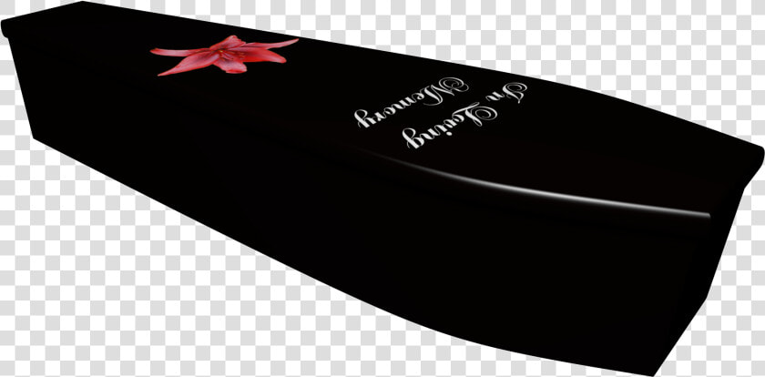 In Loving Memory Printed Wooden Coffin   Starfish  HD Png DownloadTransparent PNG