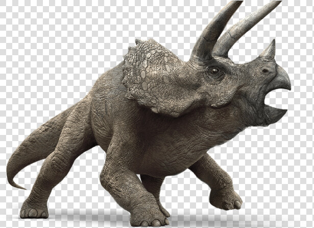 Triceratops Jurassic World  HD Png DownloadTransparent PNG