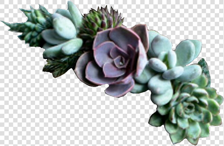 Succulents Flowercrown Green Plants   Succulent Jewelry  HD Png DownloadTransparent PNG