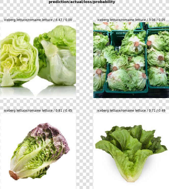 Iceberg Lettuce Romaine Lettuce  HD Png DownloadTransparent PNG