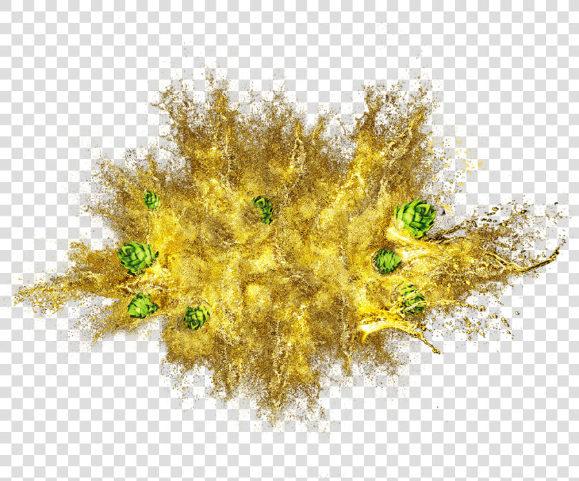 Mimosa  HD Png DownloadTransparent PNG