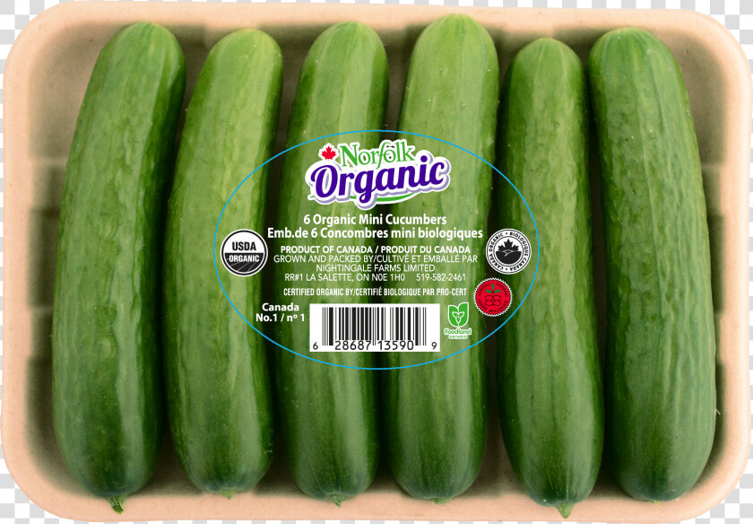 Organic Mini Cucumbers  HD Png DownloadTransparent PNG