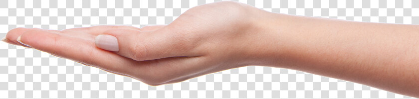 Palm Hands Png  Hand Image Free   Palm Of Hand Png  Transparent PngTransparent PNG