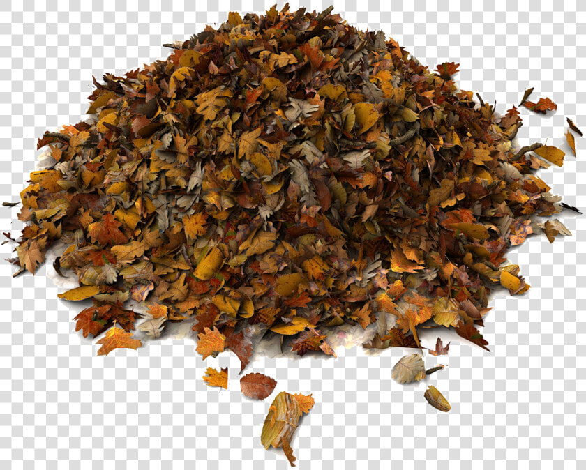 Rummage Sale Pile Of Leaves Png   Brown Leaf Pile Png  Transparent PngTransparent PNG