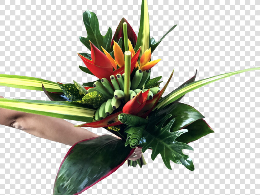 Calipso Medium Tropical Centerpieces  HD Png DownloadTransparent PNG