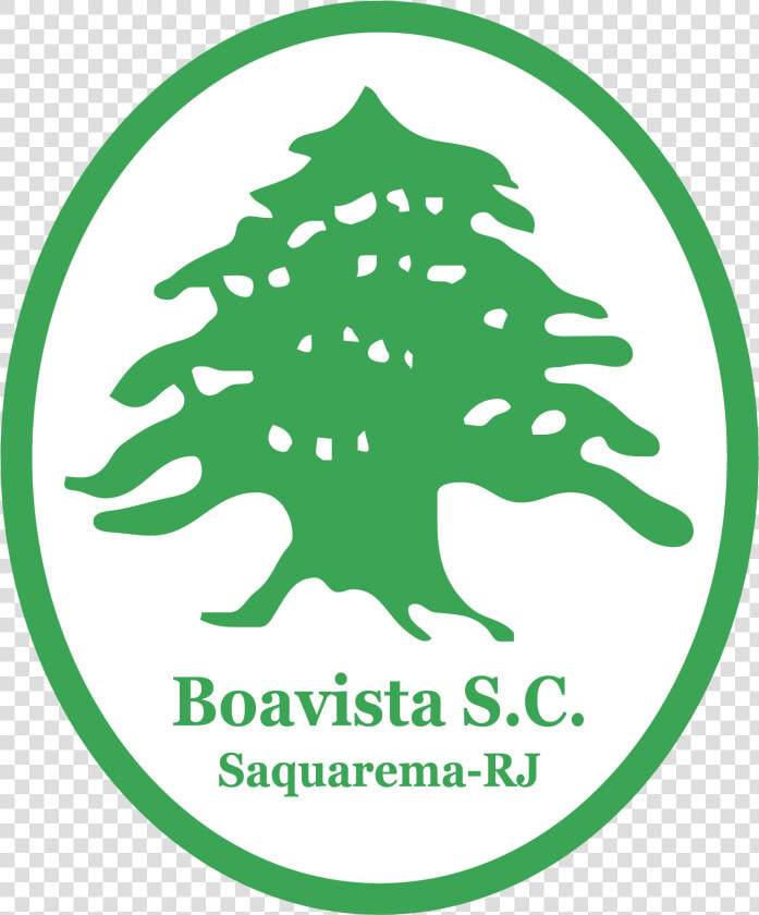 Brasao Do Boavista Rj  HD Png DownloadTransparent PNG