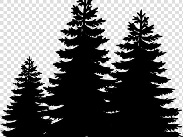 Pine Tree Clipart Loblolly Pine   Clipart Pine Trees Silhouette  HD Png DownloadTransparent PNG