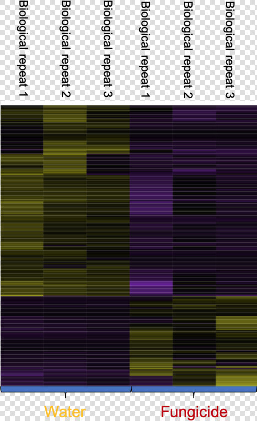 Heat Map With Genes Turned On Or Off  purple  For A  HD Png DownloadTransparent PNG