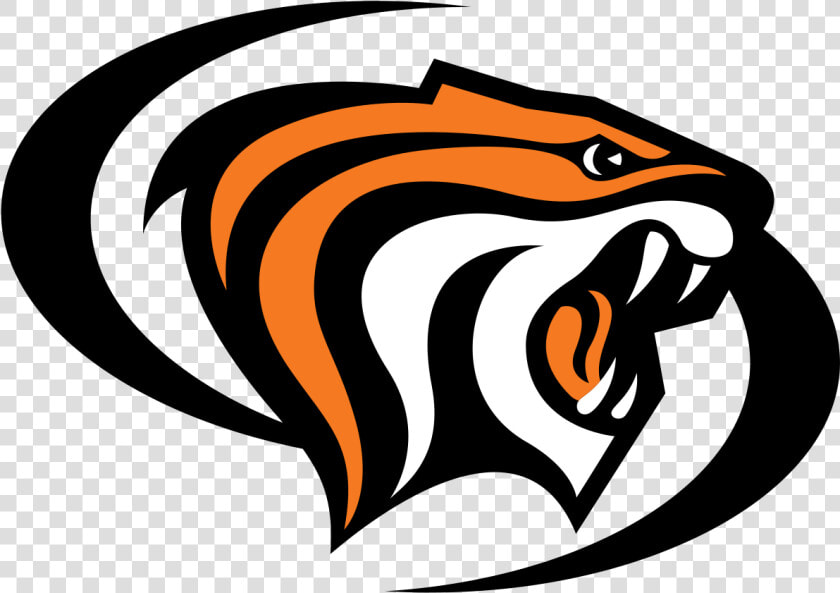 Tigers Logo Png    Pacific Tigers Logo  Transparent PngTransparent PNG