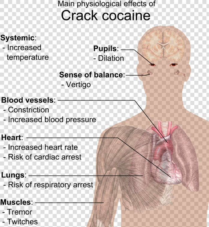 Crack Effects On Body  HD Png DownloadTransparent PNG