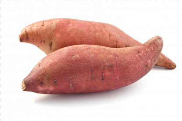 Yam Png  Transparent PngTransparent PNG