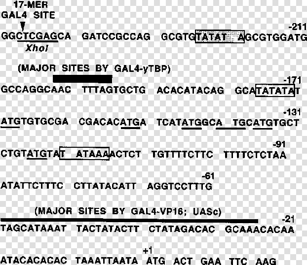 Sequence Of The Cyc1 Promoter Region And Summary Of   Sickle Cell Anemia Mutation  HD Png DownloadTransparent PNG