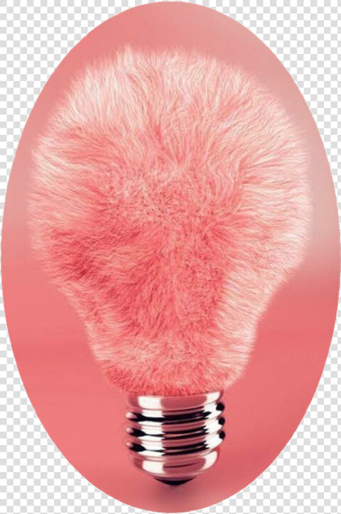 Peluche Bombilla Foco Pink Rosado Freetoedit Sclightbulb  HD Png DownloadTransparent PNG