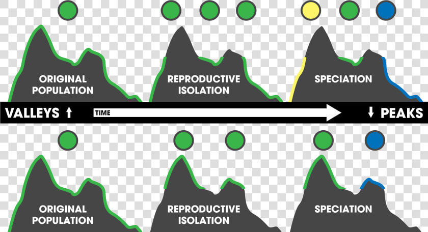 Topography driven Isolation Peak amp valley  HD Png DownloadTransparent PNG