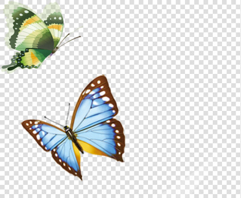 Butterfly Flying Png Download   Butterfly Flying Transparent  Png DownloadTransparent PNG