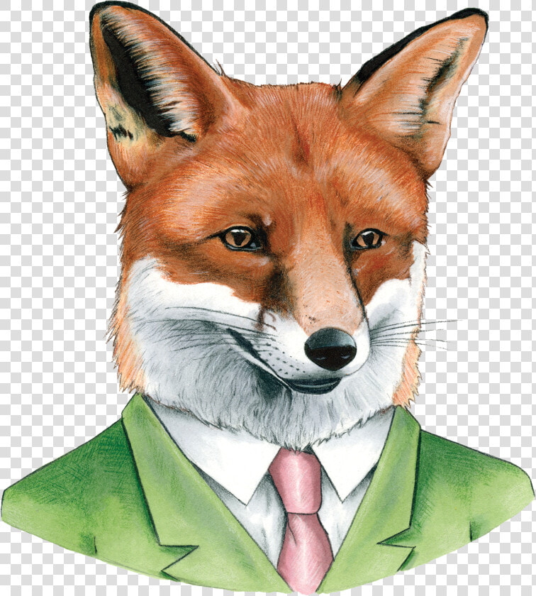 Clip Art Pictures Of Red Fox   Berkley Illustration  HD Png DownloadTransparent PNG