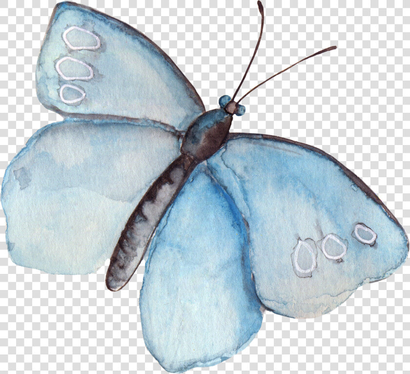 Transparent Wound Clipart   Watercolor Butterflies Clip Art  HD Png DownloadTransparent PNG