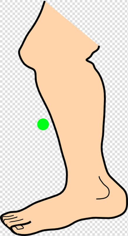 Leg Png Clipart Animated   Png Download   Foot Clipart Png  Transparent PngTransparent PNG