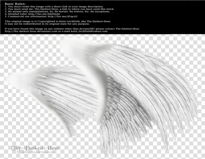 Dual White Med Png   Angel Wings Side View Png  Transparent PngTransparent PNG