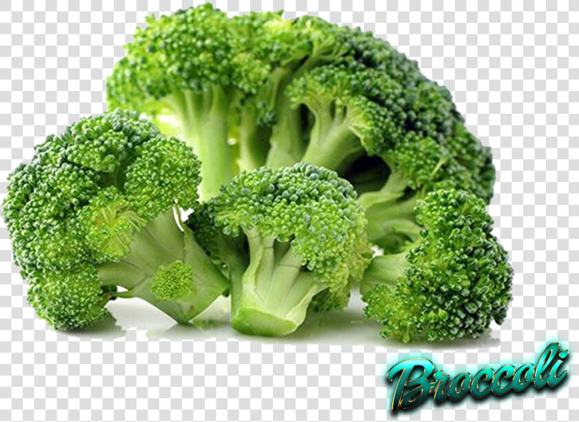 Transparent Broccoli Cartoon Png   Transparent Png Brocoli  Png DownloadTransparent PNG