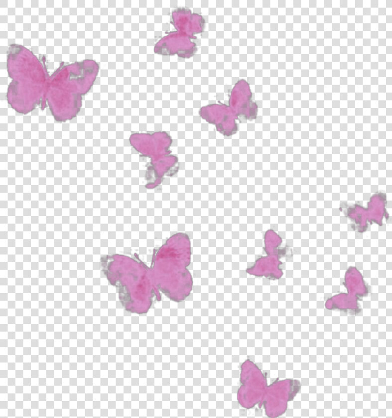  ftestickers  watercolor  butterflies  pink   Pieridae  HD Png DownloadTransparent PNG