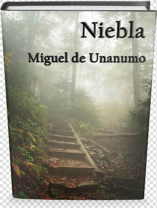 Niebla De Miguel De Unanumo Libro Gratis Para Descargar   Poster  HD Png DownloadTransparent PNG