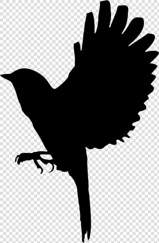 Flapping Bird Silhouette   Illustration  HD Png DownloadTransparent PNG