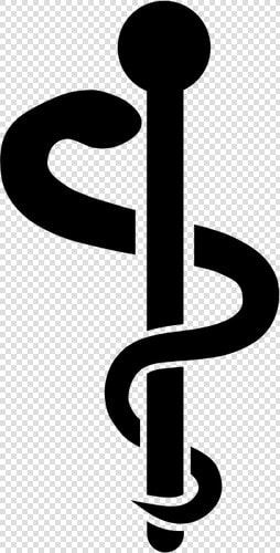 Medical Symbol Silhouette   Medical Rod Of Asclepius  HD Png DownloadTransparent PNG