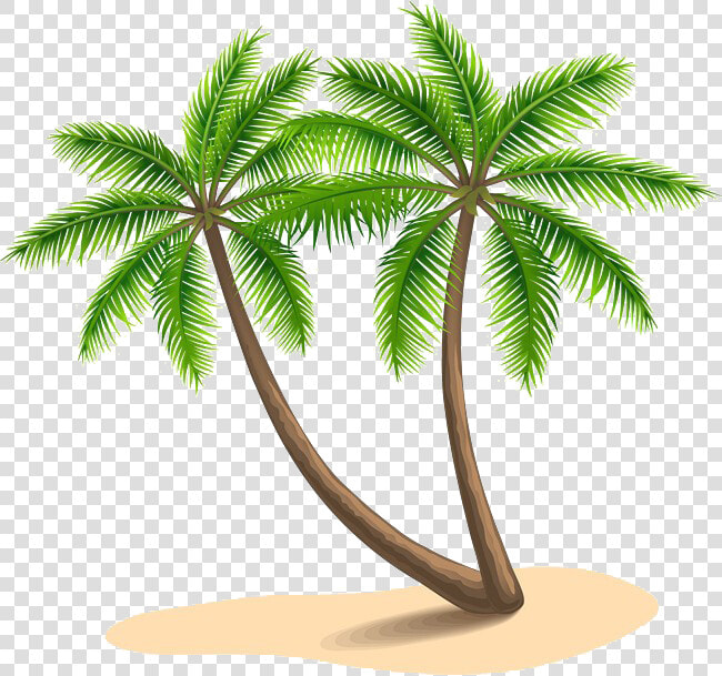 Long Coconut Tree Png Images   Coconut Tree Clipart Png  Transparent PngTransparent PNG