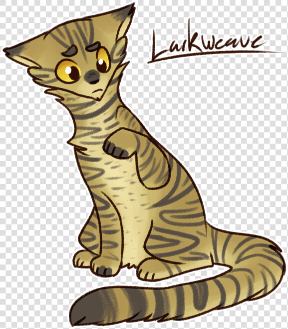 Some Warrior Cat Npcs For My Tabletop Game That I Haven   Cat Yawns  HD Png DownloadTransparent PNG