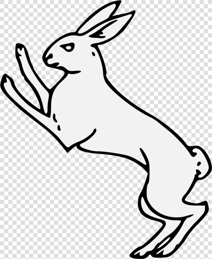 Transparent Hare Png   Domestic Rabbit  Png DownloadTransparent PNG